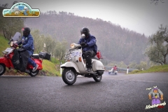 FED_0823