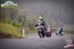 FED_0836