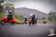 FED_0841
