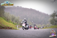 FED_0845