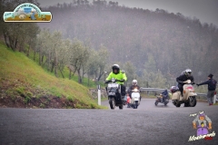 FED_0861