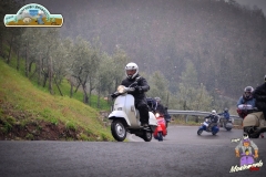 FED_0862