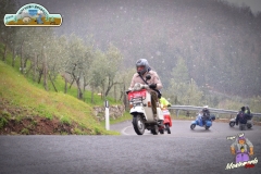 FED_0878