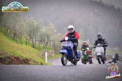 FED_0885