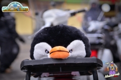 FED_0932
