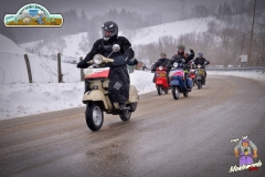 FED_0960