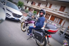 FED_8546